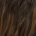 Tape extensions - Dark Chocolate Brown Balayage 1A+4