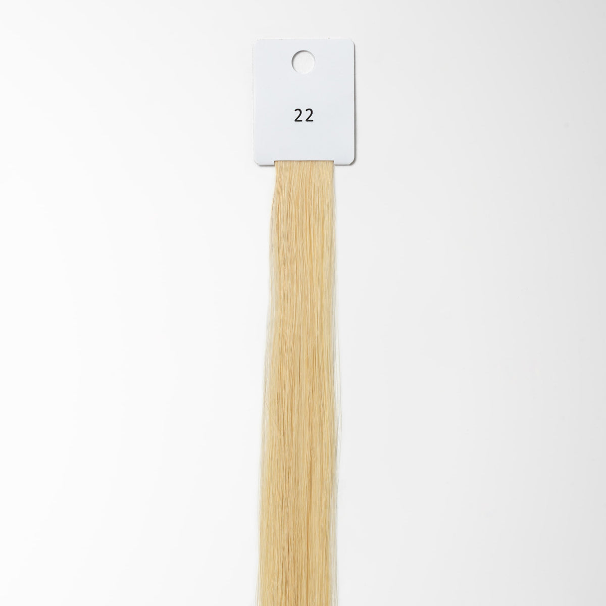 Color sample - Light Honey Blonde 22